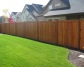 Cedar Fence 12