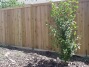 Cedar Fence 14