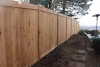 Cedar Fence 16