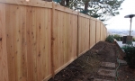 Cedar Fence 16