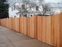 Cedar Fence 19