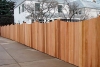Cedar Fence 19