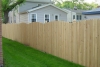 Cedar Fence 20