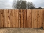 Cedar Fence 26