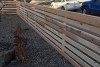 Cedar Fence 5