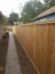 Cedar Fence 7