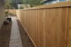 Cedar Fence 7