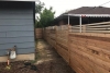 Cedar Fence 8