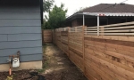 Cedar Fence 8