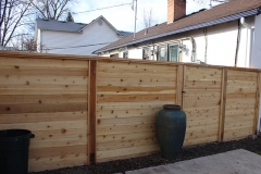 Cedar Fence 18