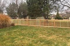 Cedar Fence 2