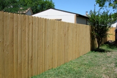 Cedar Fence 23