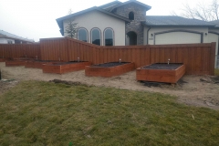 Cedar Fence 24