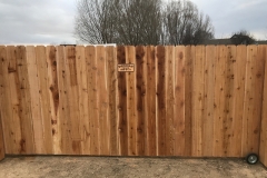 Cedar Fence 26