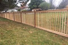 Cedar Fence 3