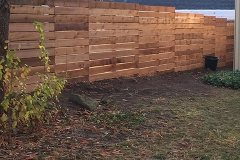 Cedar Fence 4