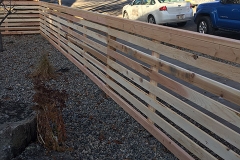 Cedar Fence 5