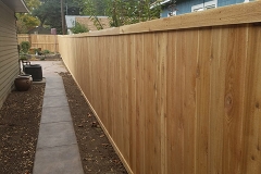 Cedar Fence 7
