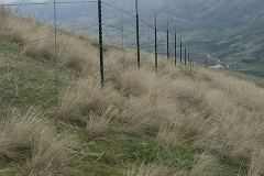 Farm Ranch Fence 4