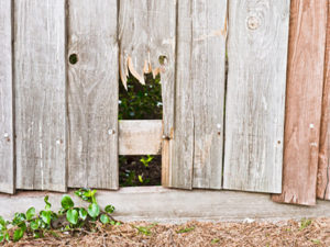 fence repair boise