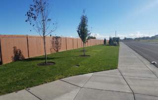 Rockbridge Cedar Fence